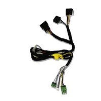 Juego de cables de conexi&oacute;n ACCM2 Micro de 2 canales para amplificador Micro 120.2 Eton