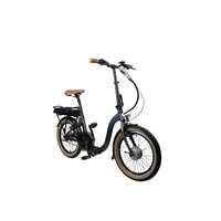 Blaupunkt Franzi 500 vouwfietsen
