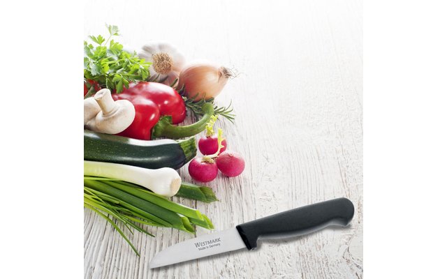 Couteau à légumes Westmark Domesticus lame droite 7,5 cm