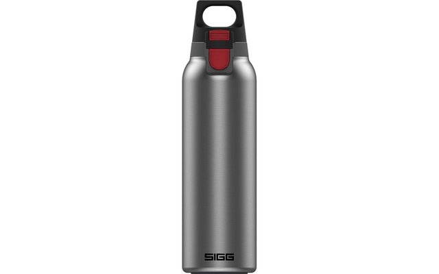 SIGG H&C ONE Trinkflasche Light brushed 