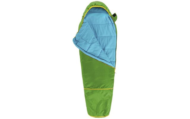 Grüezi bolsa de los niños crecen Gecko colorido saco de dormir verde