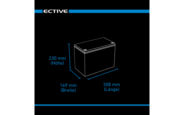 Ective LC 100L BT 12 V LiFePO4 Lithium voedingsbatterij 100 Ah