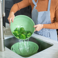 Koziol Strainer Palsby Drainer natuur blad groen