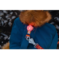 Ruffwear Zaino per cani Front Range M Blue Moon