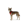 Arnés para perros Ruffwear Front Range con clip M rojo zumaque