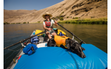 Chaleco salvavidas Ruffwear Float Coat para perros
