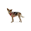 Arnés para perros Ruffwear Front Range con clip S rojo zumaque