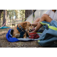 Ruffwear Front Range collier 36 - 51 cm blue moon