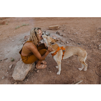 Ruffwear Front Range gepolstertes Hundegeschirr Campfire Orange S 