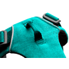 Ruffwear Front Range Dog Harness with Clip XS Aurora Teal