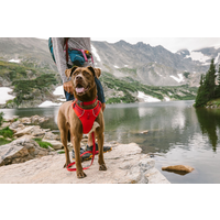 Ruffwear Front Range gepolstertes Hundegeschirr Red Sumac L/XL 