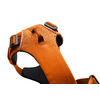 Ruffwear Imbracatura per cani Front Range con clip S Campfire Orange