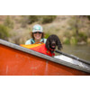 Chaleco salvavidas Ruffwear Float Coat para perros Red Sumac XS