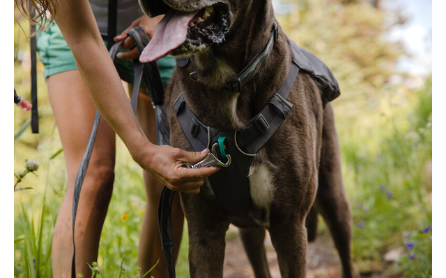 Ruffwear Switchbak Dog Harness Granite Gray S 56 - 69 cm