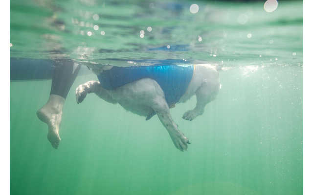 Ruffwear Float Coat Schwimmweste für Hunde Blue Dusk L