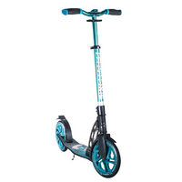 Six Degrees Aluminium Pro Foldable Scooter Petrol