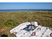 Picknickdecke mit Essen und Getränken auf Gras vor dem Meer