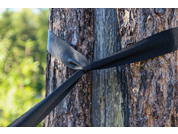 Nahaufnahme eines Baumstamms mit einem schwarzen Gurt, der um die Rinde geknotet ist, unscharfer grüner Hintergrund
