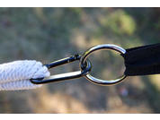 Nahaufnahme von zwei Karabinern, verbunden durch einen Metallring; linker Karabiner an weißer geflochtener Schnur, rechter an schwarzem Gurt; unscharfer Hintergrund