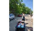 Femme poussant un chariot avec un enfant dans une rue ensoleillée, voitures garées à gauche, arbres en arrière-plan