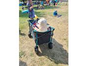 Enfant avec chapeau de soleil assis dans un chariot pliant sur l'herbe; une personne debout à côté du chariot; des personnes et des couvertures en arrière-plan