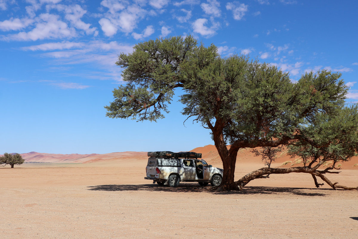 Wei&szlig;er Gel&auml;ndewagen steht unter einem gro&szlig;en Baum auf einer sandigen W&uuml;stenfl&auml;che, rote D&uuml;nen im Hintergrund und blauer Himmel mit Wolken