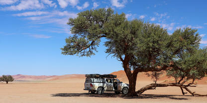 Wei&szlig;er Gel&auml;ndewagen steht unter einem gro&szlig;en Baum auf einer sandigen W&uuml;stenfl&auml;che, rote D&uuml;nen im Hintergrund und blauer Himmel mit Wolken