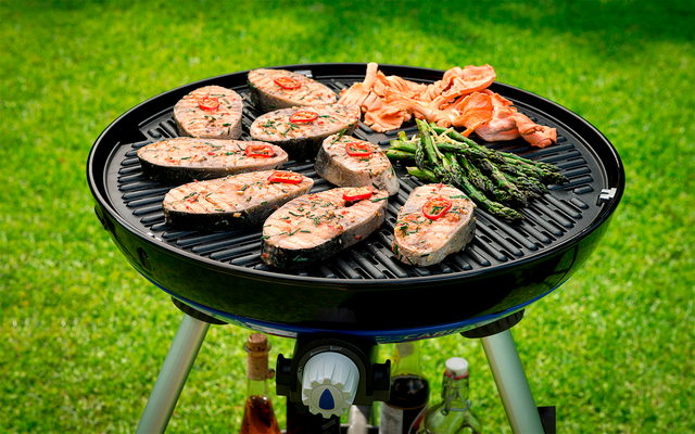 Gegrillter Fisch und Garnelen auf einem runden Grill im Garten